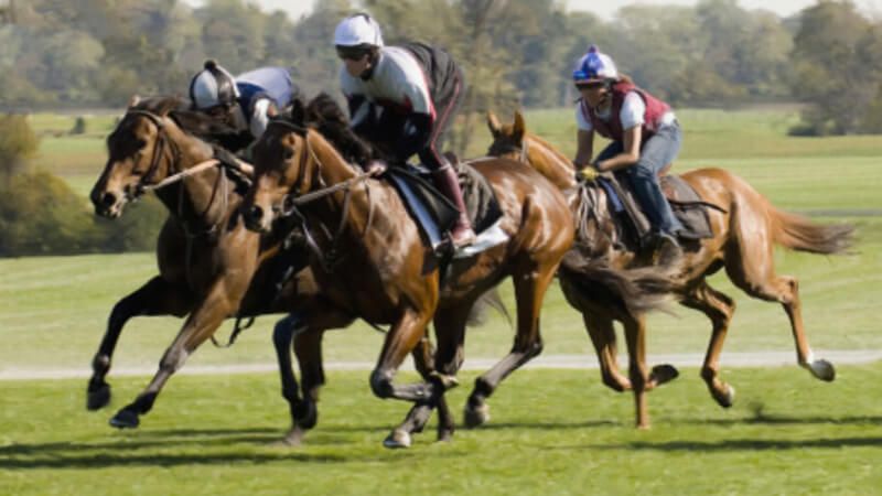 Horses Galloping at Cork Racecourse Mallow
